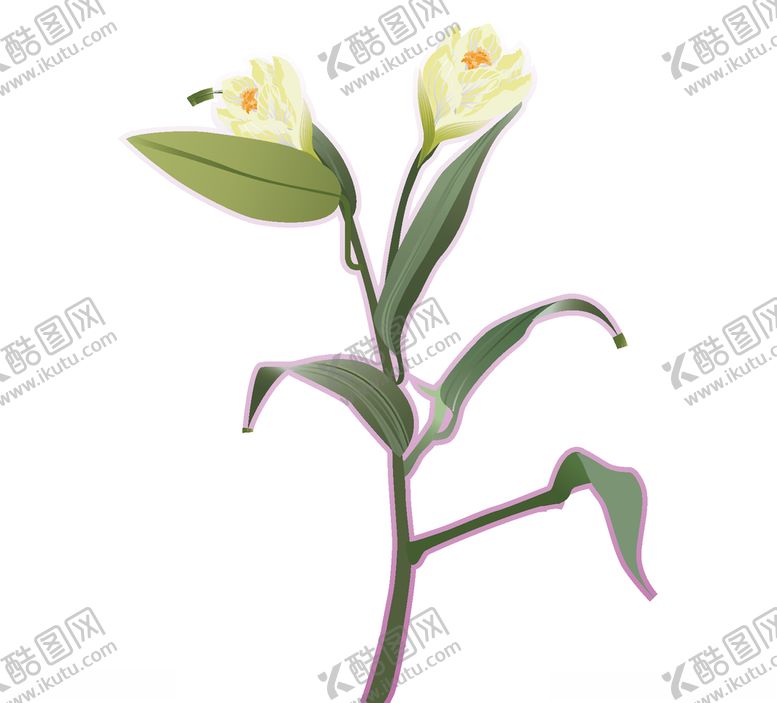 编号：16900507062139567436【酷图网】源文件下载-药材花