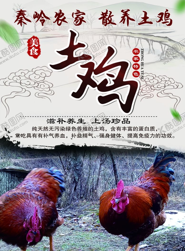 编号：64369810021911434919【酷图网】源文件下载-土鸡彩页