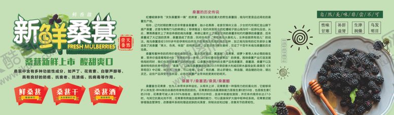 编号：33649406170625564335【酷图网】源文件下载-新鲜桑葚
