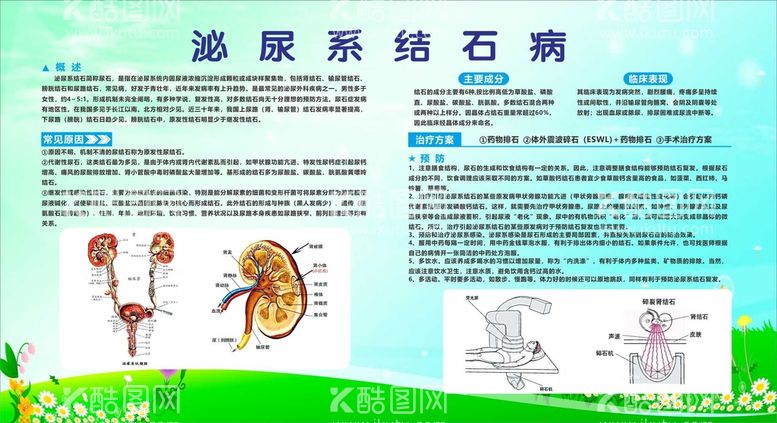 编号：89510812230842308271【酷图网】源文件下载-结石病科普海报