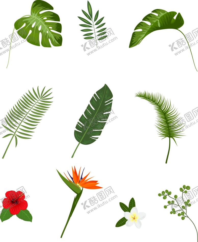 编号：87888510272203533908【酷图网】源文件下载-叶子素材