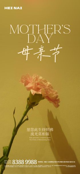 简约清新感恩母亲节宣传海报