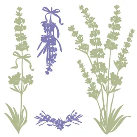 手绘花卉300DPI郁金香水彩叶子