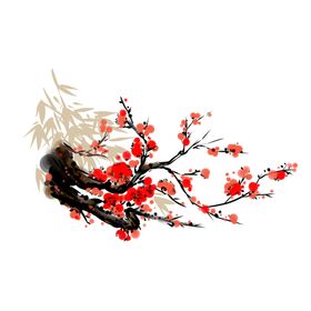 梅花素材