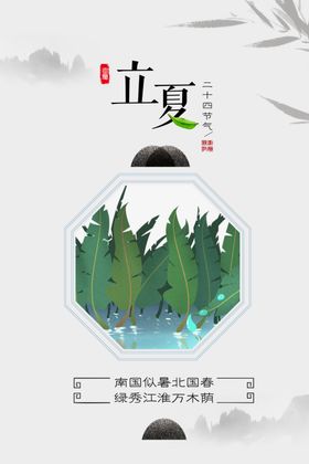 立夏海报节气创意荷花