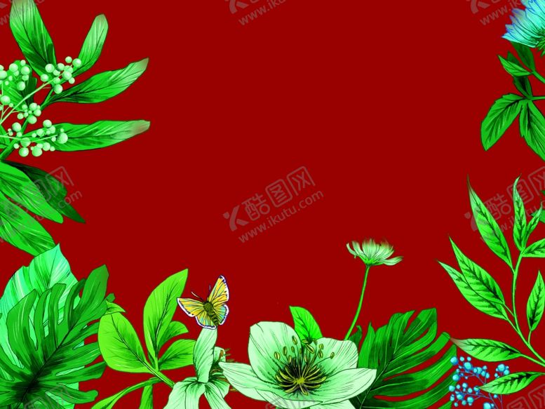 编号：62286205190033301188【酷图网】源文件下载-橱窗花草