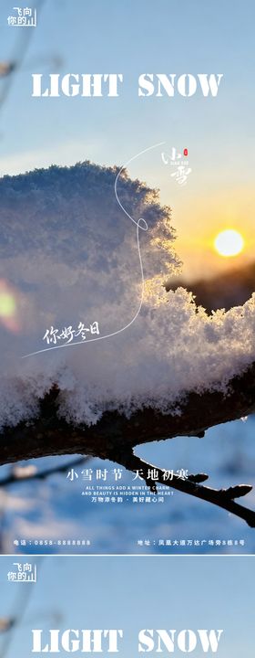 小雪近景节气系列海报