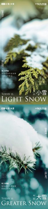 冬季大雪系列海报