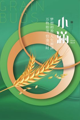 小满海报节日宣传夏至地产