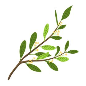 桂花枝头枝叶八月半海报素材