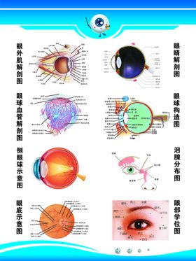 编号：83607909260646539138【酷图网】源文件下载-眼睛视力表