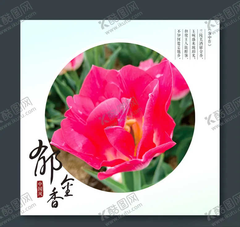 编号：11358909101256094465【酷图网】源文件下载-郁金香