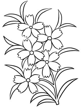 花卉素描
