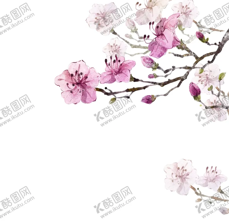 编号：84876002030219549321【酷图网】源文件下载-桃花