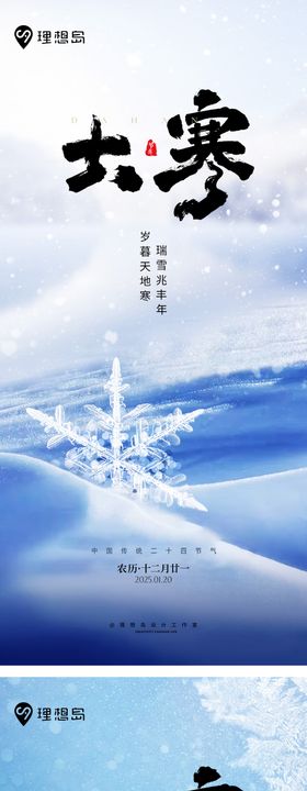 大寒雪花节气海报