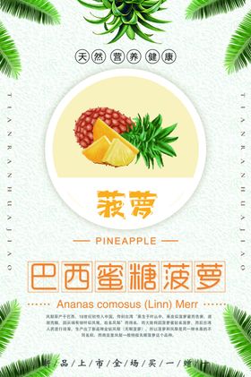 菠萝海报
