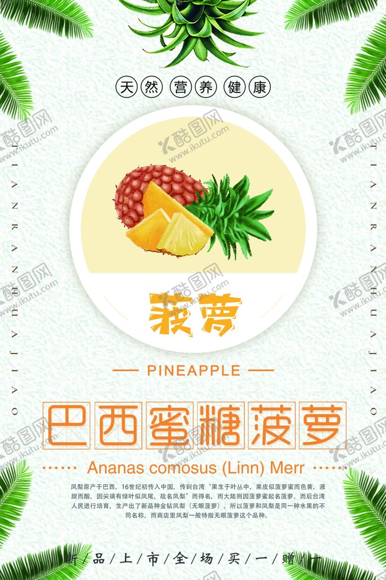 编号：32684112221435347027【酷图网】源文件下载-菠萝海报