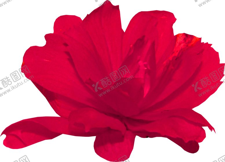 编号：58683809251406234360【酷图网】源文件下载-花素材