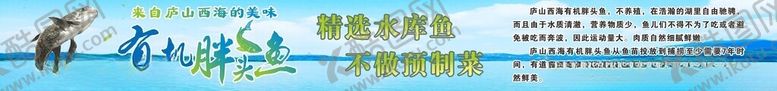 编号：69120004021639106446【酷图网】源文件下载-有机胖头鱼