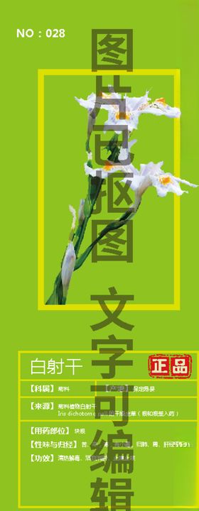 白射干