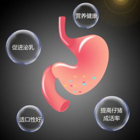 手绘猪胃动物喂示意图