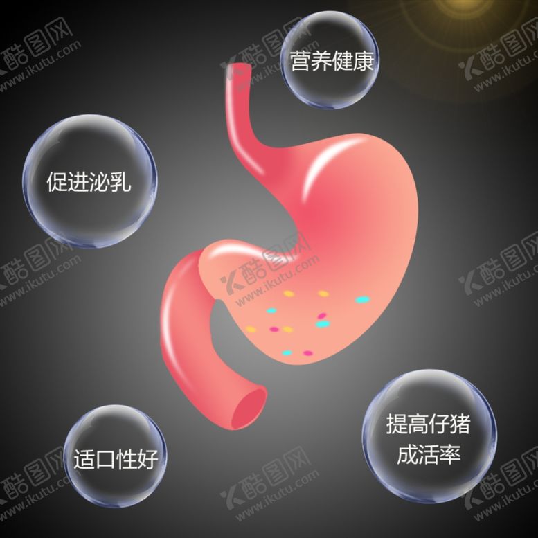 编号：72233505181608545068【酷图网】源文件下载-手绘猪胃动物喂示意图