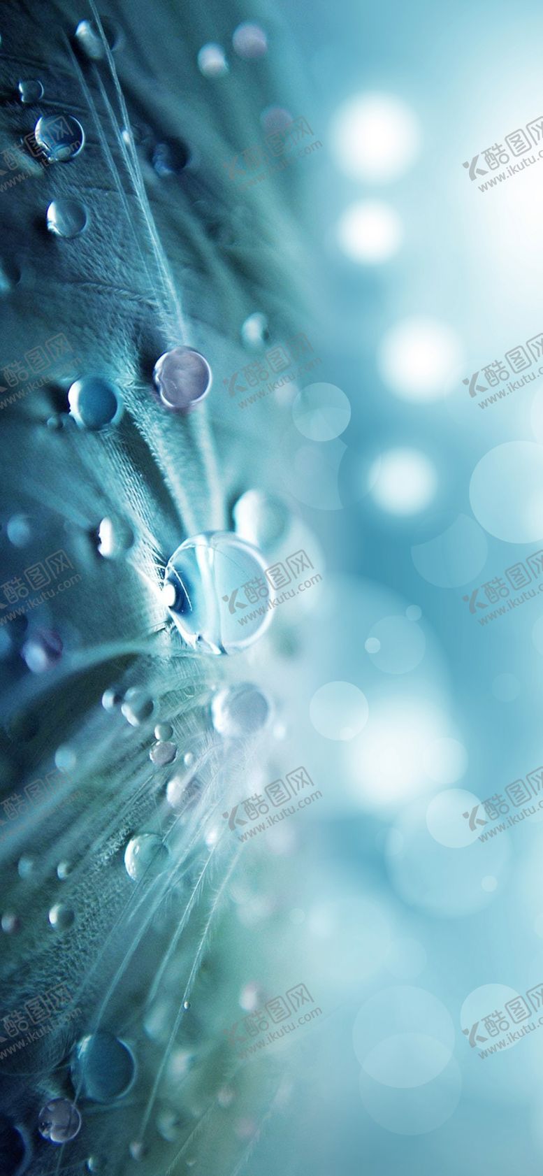 编号：53247409271642065124【酷图网】源文件下载-立夏