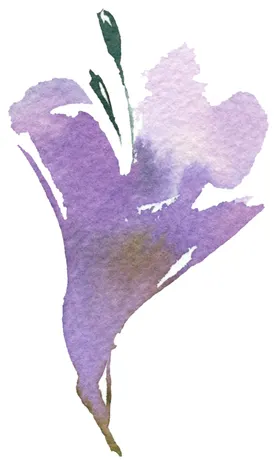 花卉背景手绘欧式油画复古风植物室内