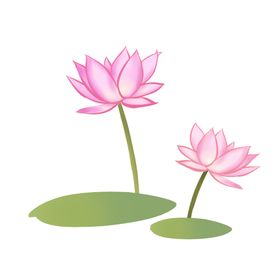 荷花元素
