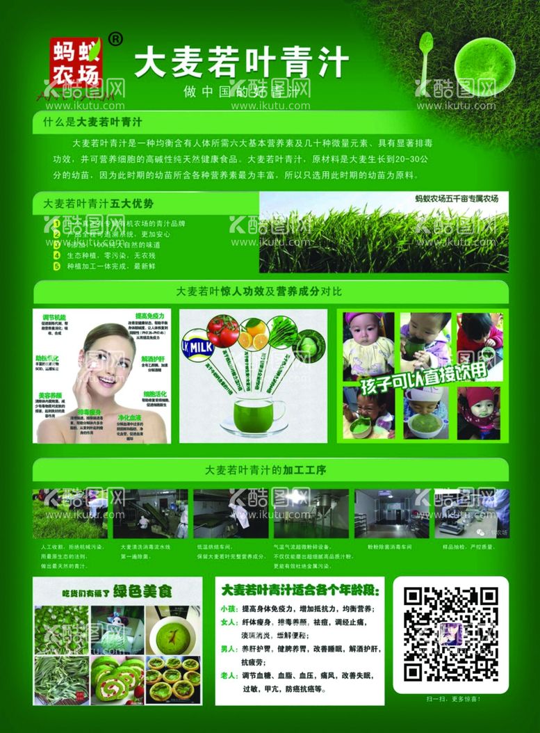 编号：83098412221031101672【酷图网】源文件下载-大麦若叶青汁宣传单