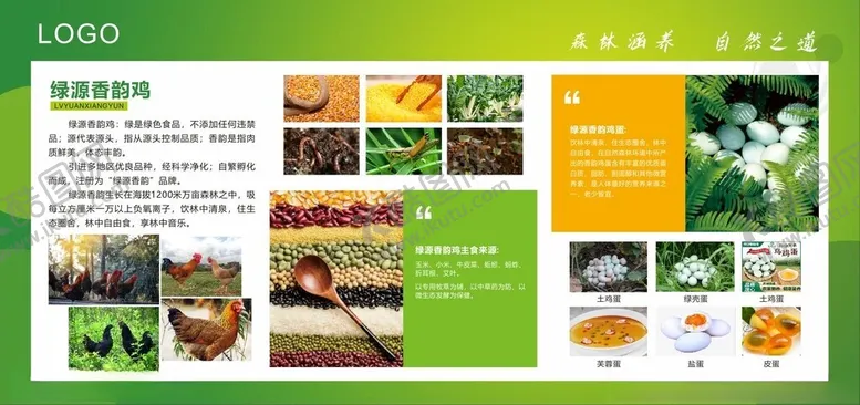 编号：80414701260153065491【酷图网】源文件下载-鸡介绍展板