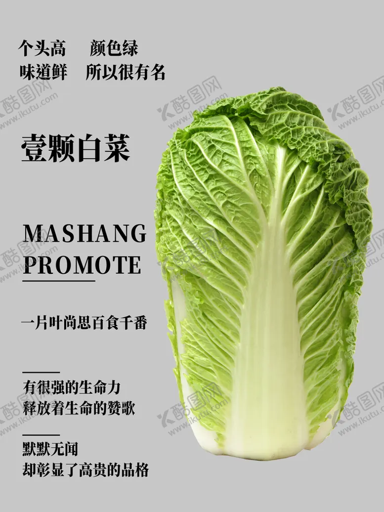 编号：76930911204145096153【酷图网】源文件下载-白菜海报设计