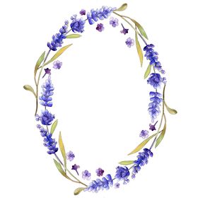 薰衣草边框