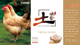 土鸡蛋礼盒图片