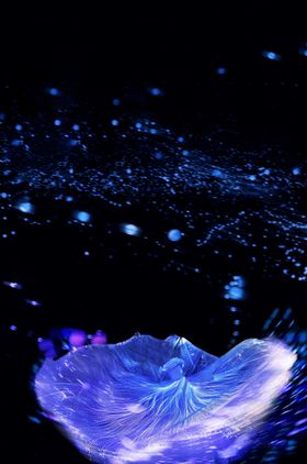 夜景婚纱