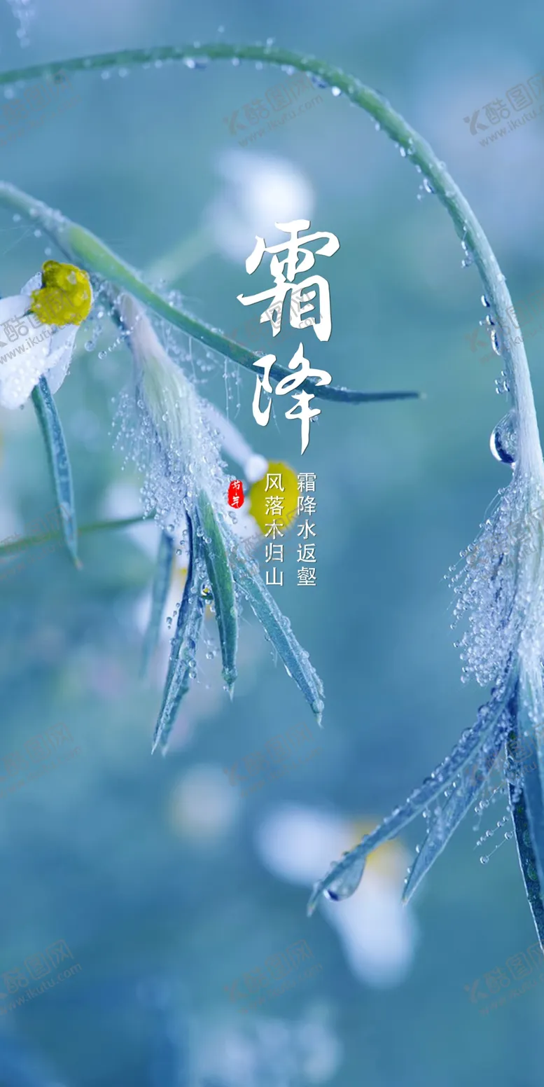 编号：36425212051657565849【酷图网】源文件下载-柿子