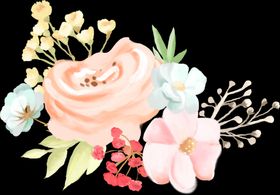 手绘鲜花