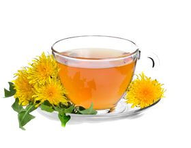 菊花素材