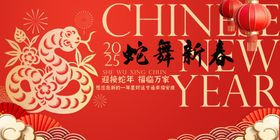 蛇年
