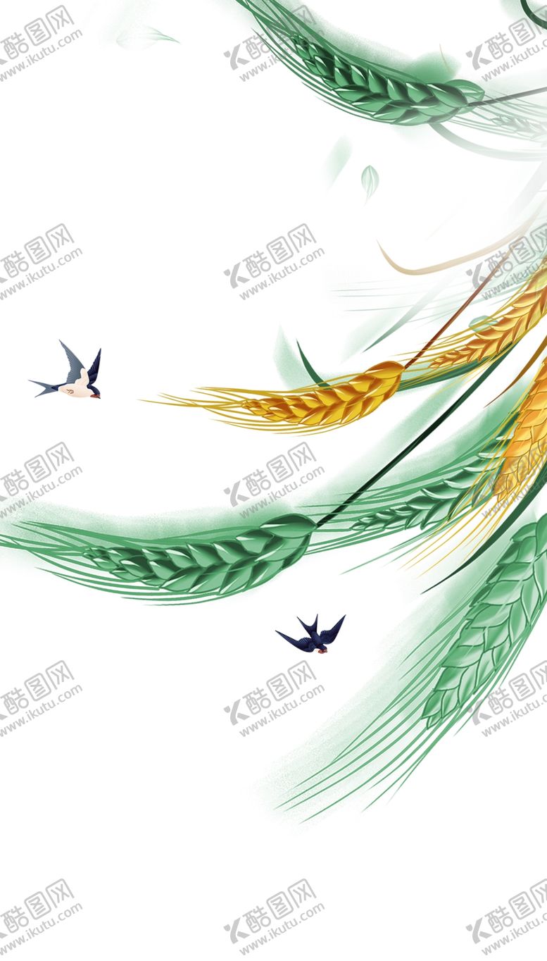 编号：24486102131523535120【酷图网】源文件下载-麦穗小麦图片