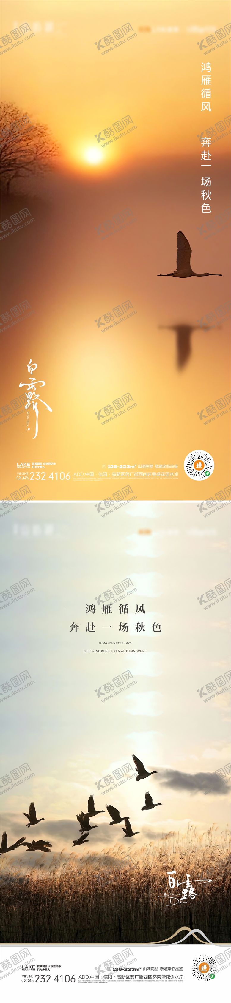 编号：97922211210602499222【酷图网】源文件下载-白露节气移动端海报