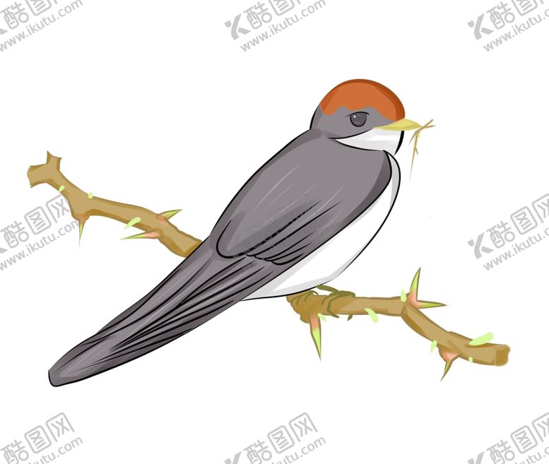 编号：85343909151646555500【酷图网】源文件下载-立春燕子插画