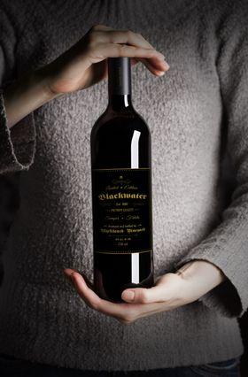 葡萄酒的瓶子包装品牌VI样机