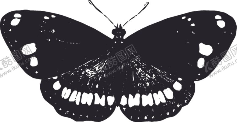 编号：56689210201329598829【酷图网】源文件下载-自然昆虫标本插画