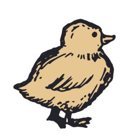 家养动物主题插画
