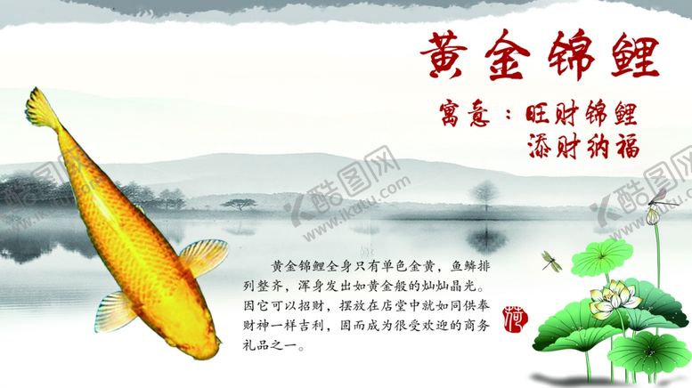 编号：54661709240443137002【酷图网】源文件下载-锦鲤简介黄金锦鲤