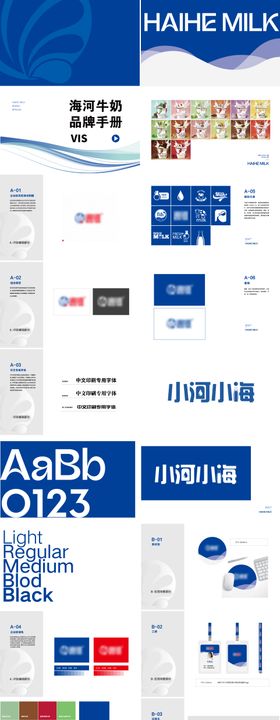 vi手册蓝色商务商业企业物料效果图
