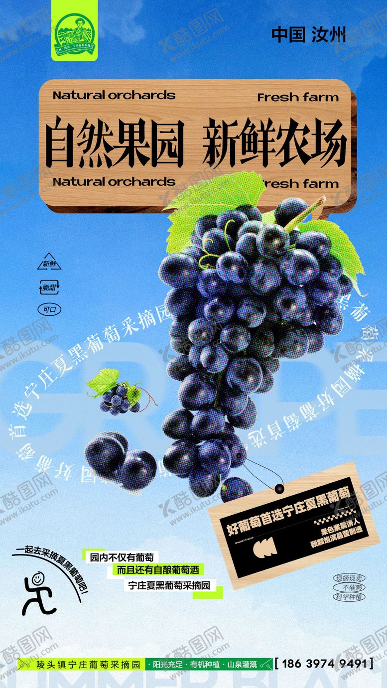编号：50977710250002009221【酷图网】源文件下载-葡萄采摘园海报