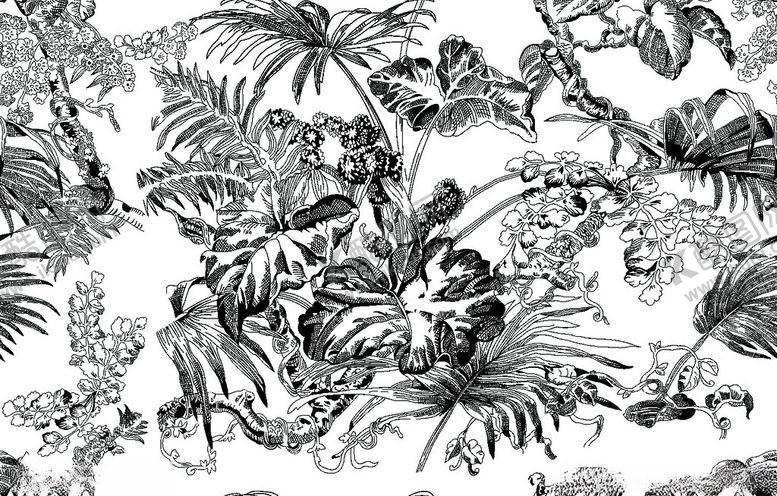 编号：30339012130507411299【酷图网】源文件下载-素描植物