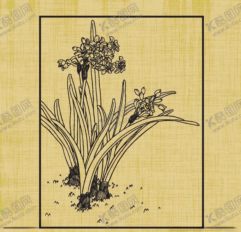 编号：23115809251842314420【酷图网】源文件下载-水仙